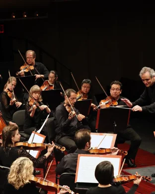 Orlando Philharmonic Orchestra: The Ring In Concert - Film With Live Orchestra