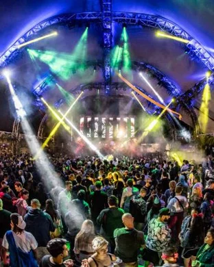 Wax Motif